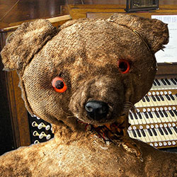 Barrie the Bear: A Star-Crossed Fringe Lover