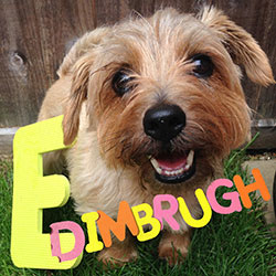 Edimbrugh Fringe Dog